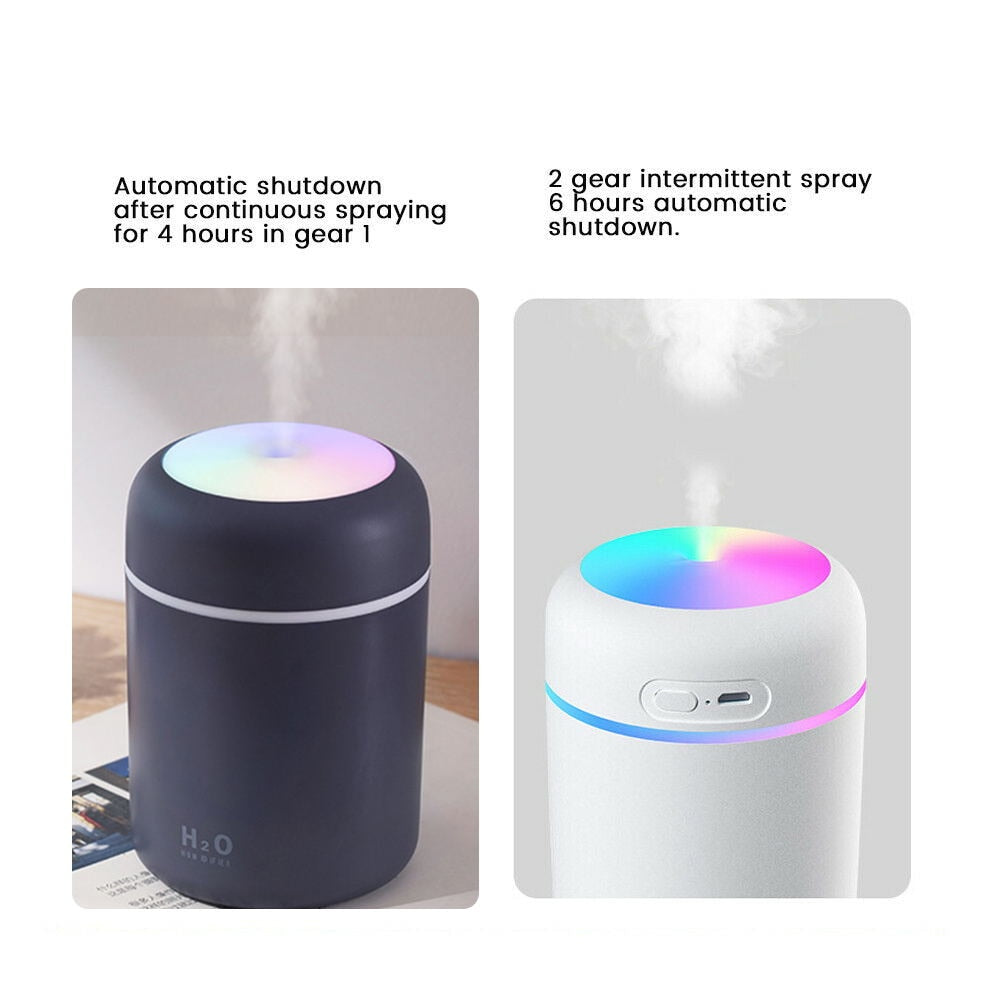 Portable Humidifier